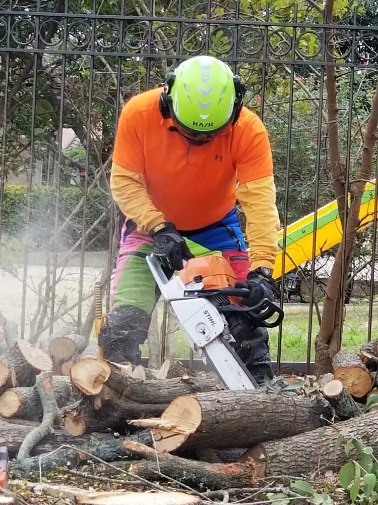 Top-rated lawn care service in San Antonio, TX - A Cutt Above the Rest