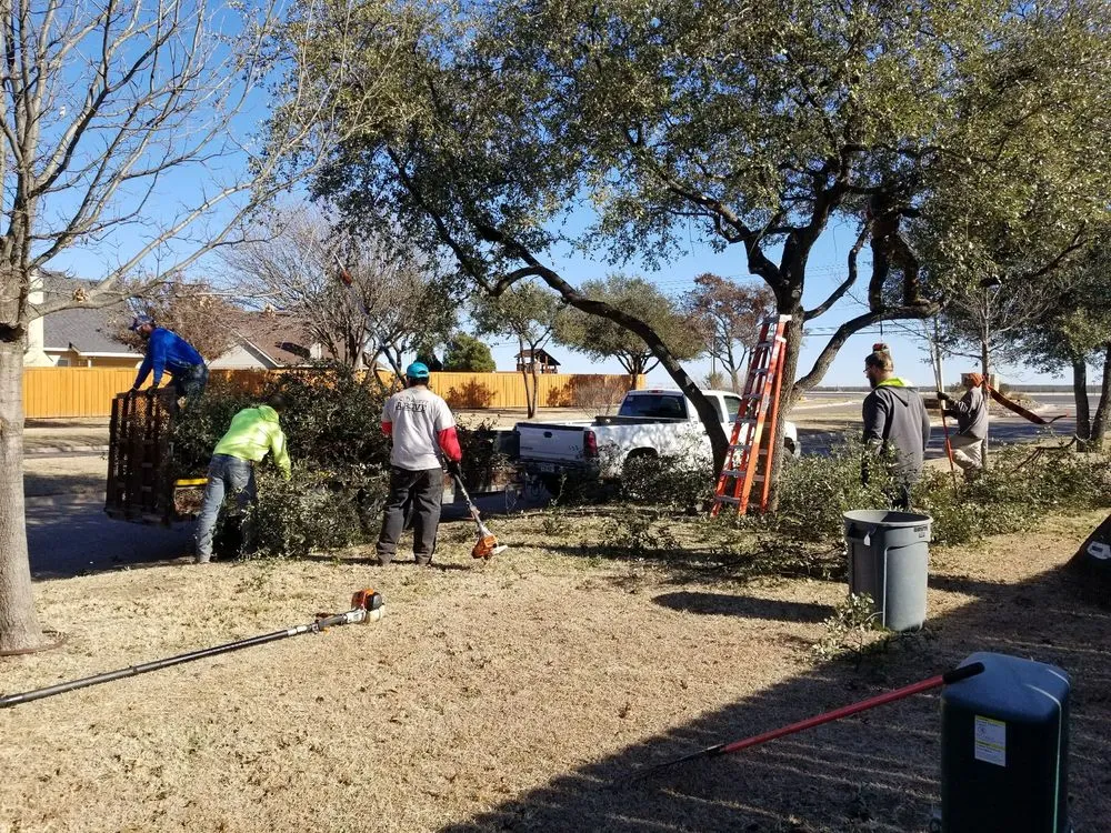 Top-rated residential landscaping experts serving Abilene, TX - A Cutt Above Tree Service