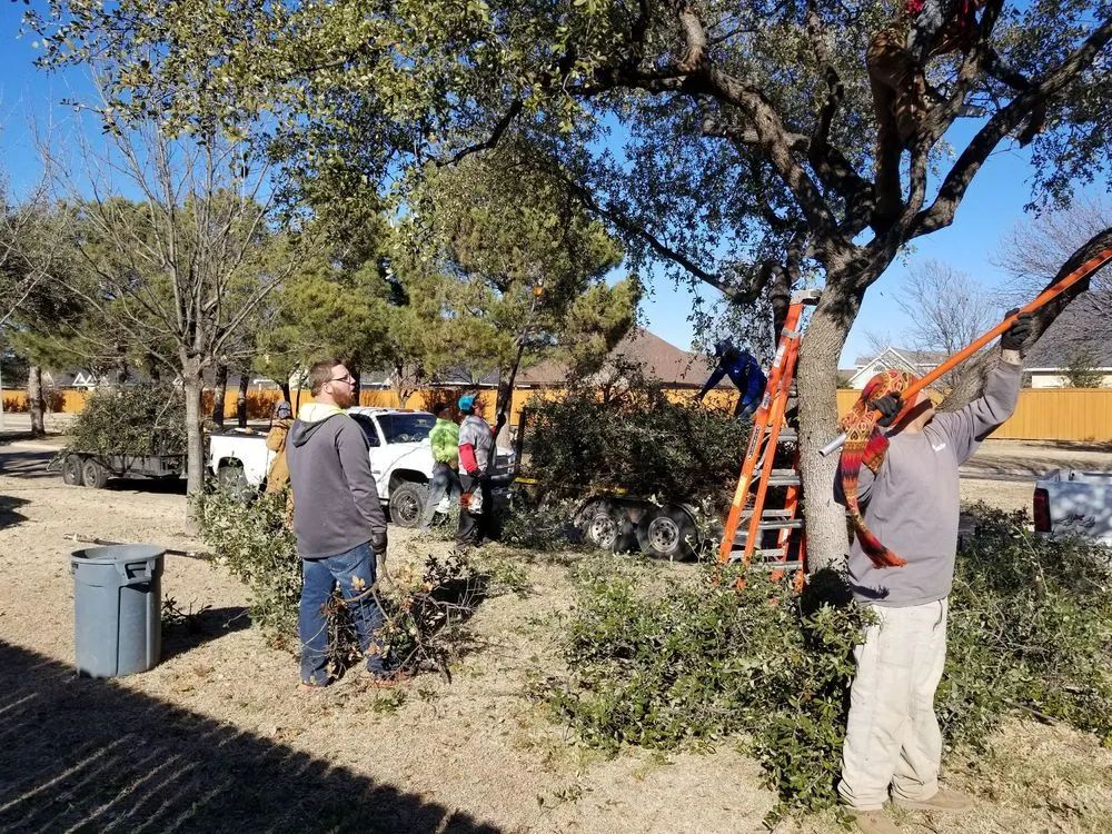 Local landscape design experts serving Abilene, TX - A Cutt Above Tree Service