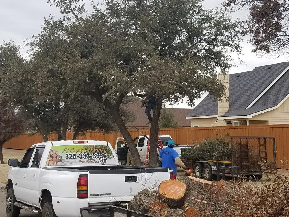 Local yard cleanup service experts serving Abilene, TX - A Cutt Above Tree Service