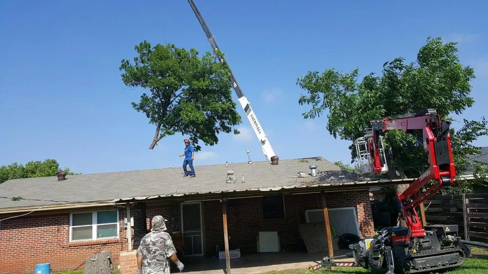 Reliable landscape design in Abilene, TX by A Cutt Above Tree Service