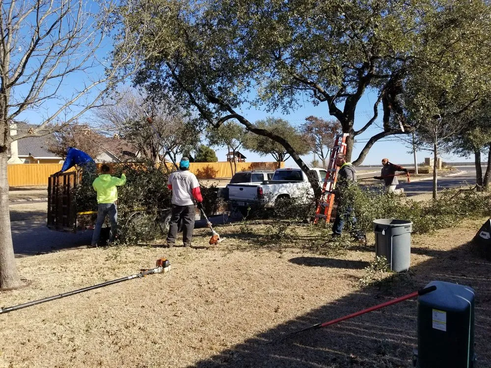 Reliable yard cleanup service experts serving Abilene, TX - A Cutt Above Tree Service