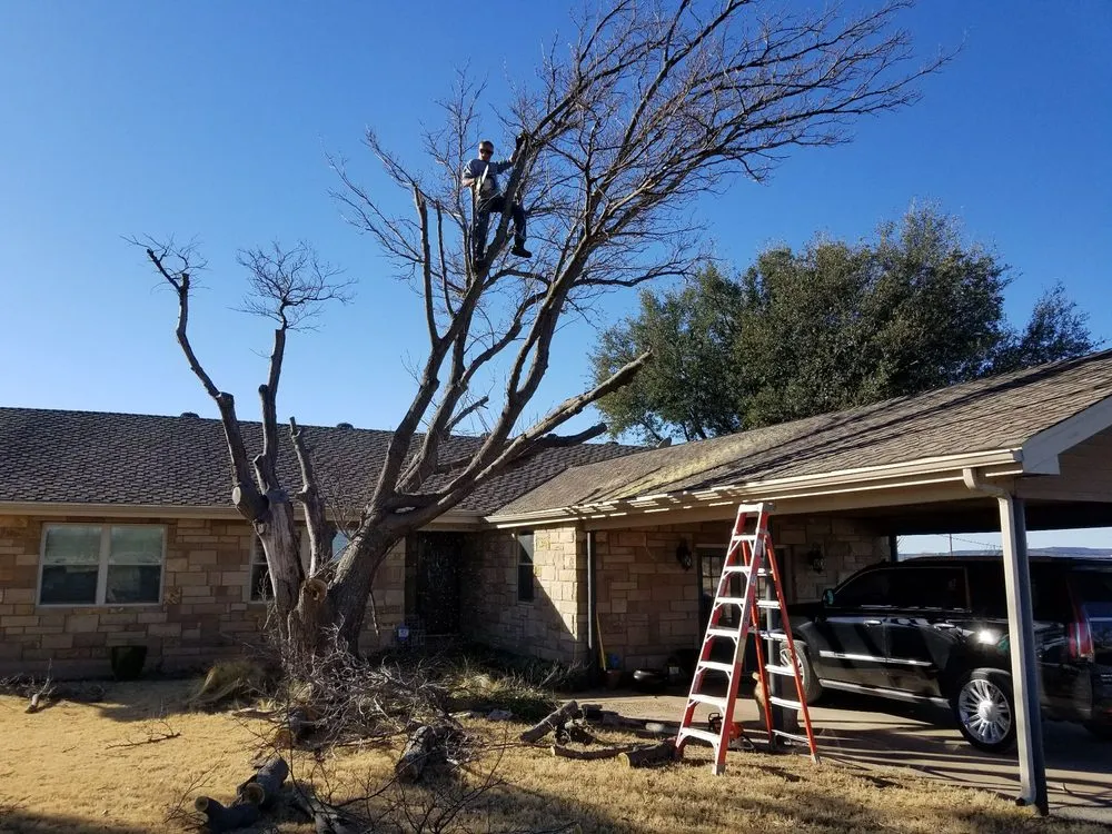 Affordable residential landscaping for beautiful yards across Abilene, TX - A Cutt Above Tree Service