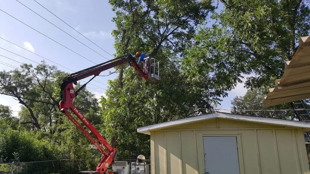 Expert lawn care service with custom design across Abilene, TX - A Cutt Above Tree Service