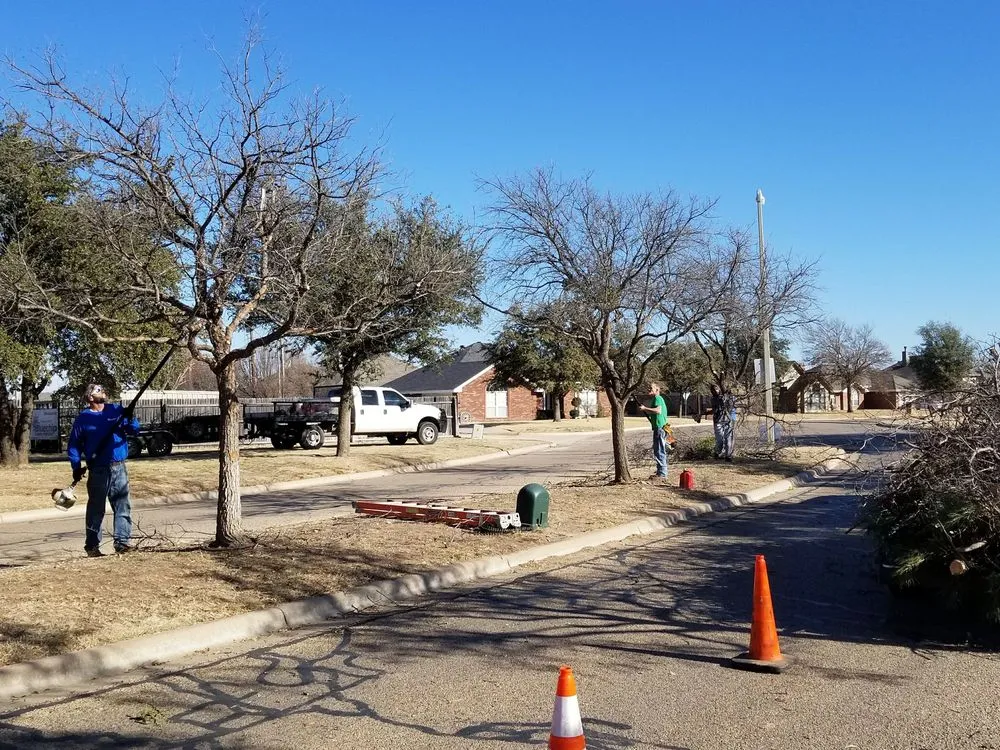 Reliable residential landscaping in Abilene, TX by A Cutt Above Tree Service