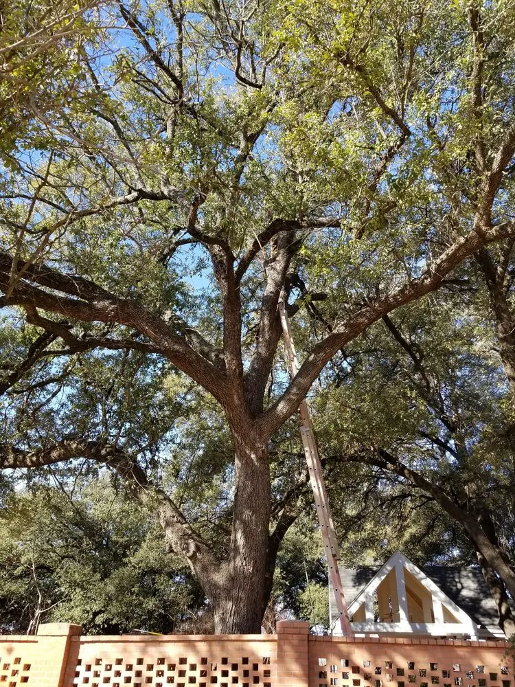 Custom landscape design experts serving Abilene, TX - A Cutt Above Tree Service