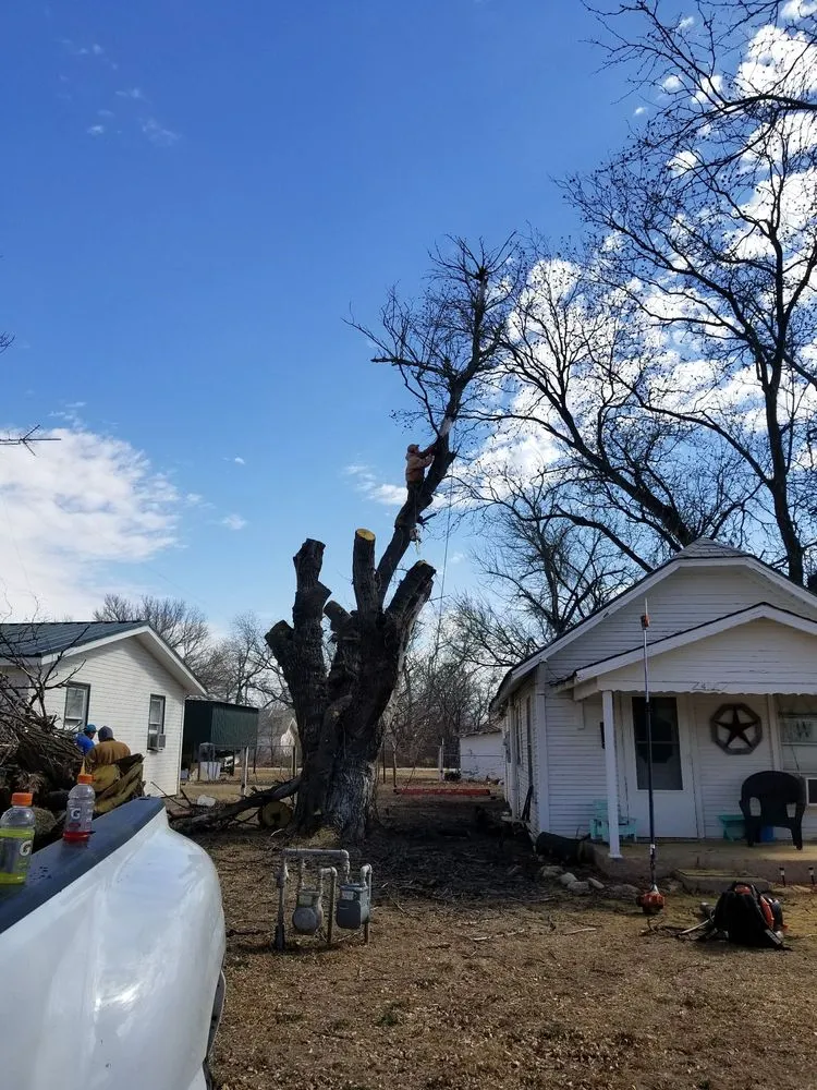 Reliable lawn care service for outdoor upgrades across Abilene, TX - A Cutt Above Tree Service