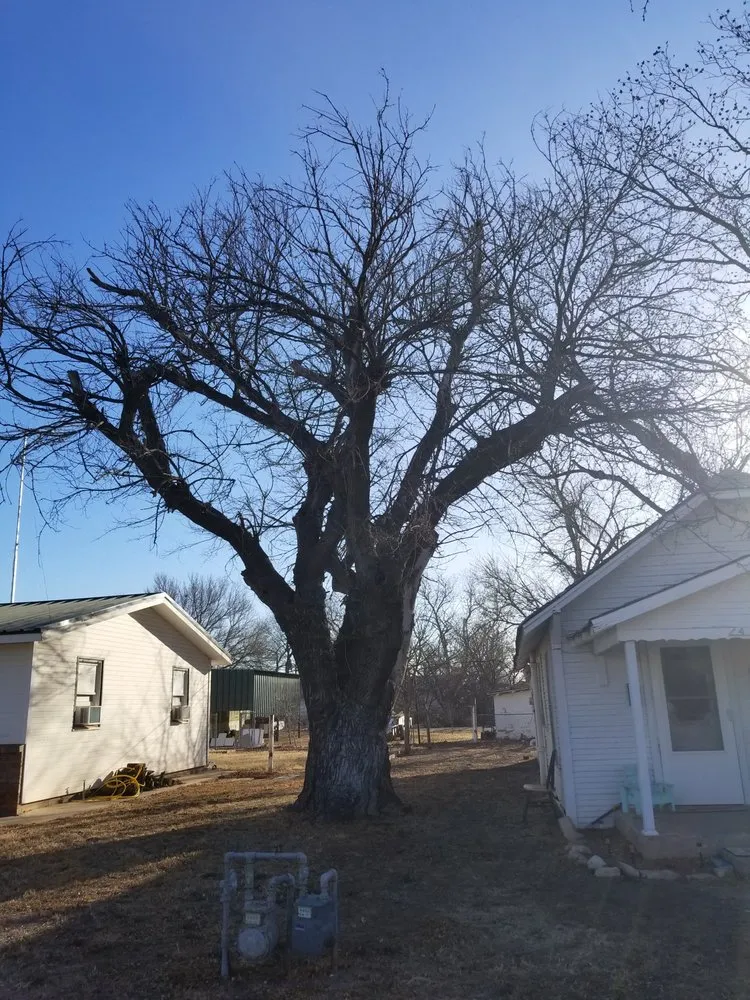 Trusted lawn mowing service experts serving Abilene, TX - A Cutt Above Tree Service