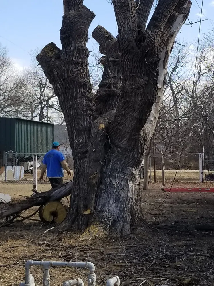 Custom lawn mowing service with custom design in Abilene, TX by A Cutt Above Tree Service