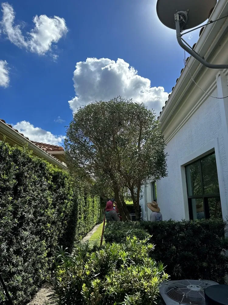 Top-rated yard cleanup service experts serving Wellington, FL - A Cutting Hedge