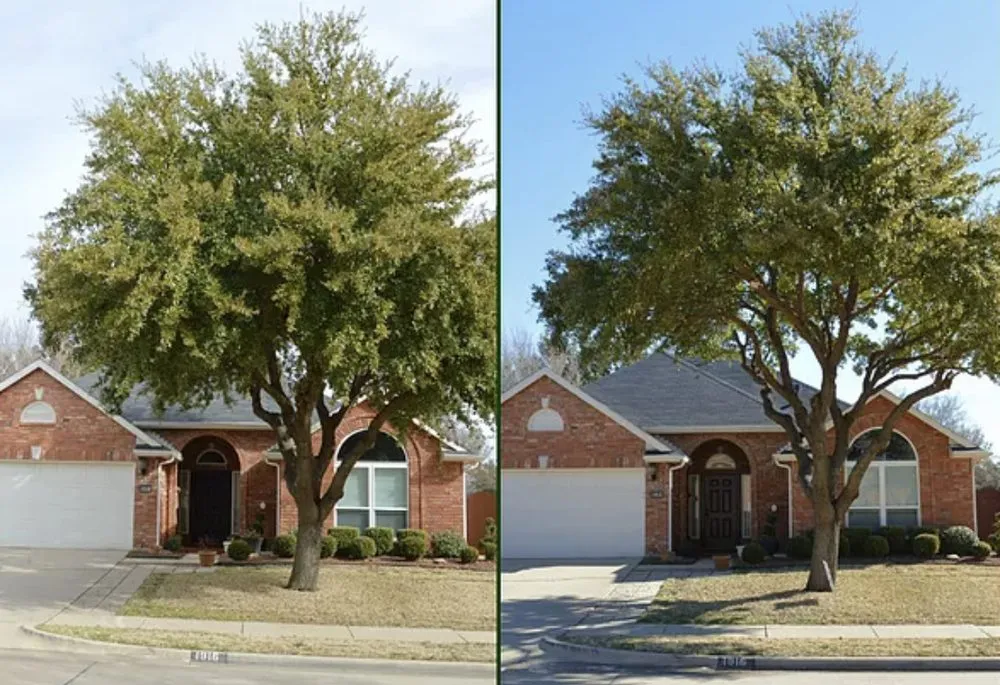 Top-rated landscaping services in Arlington, TX by A D E Landscaping