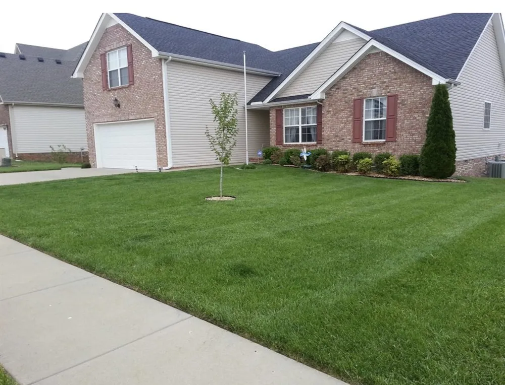 Professional landscape installation in Arlington, TX by A D E Landscaping