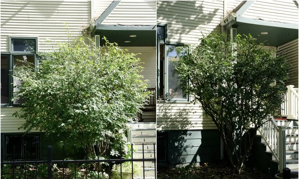 Expert lawn mowing service for beautiful yards in Arlington, TX by A D E Landscaping