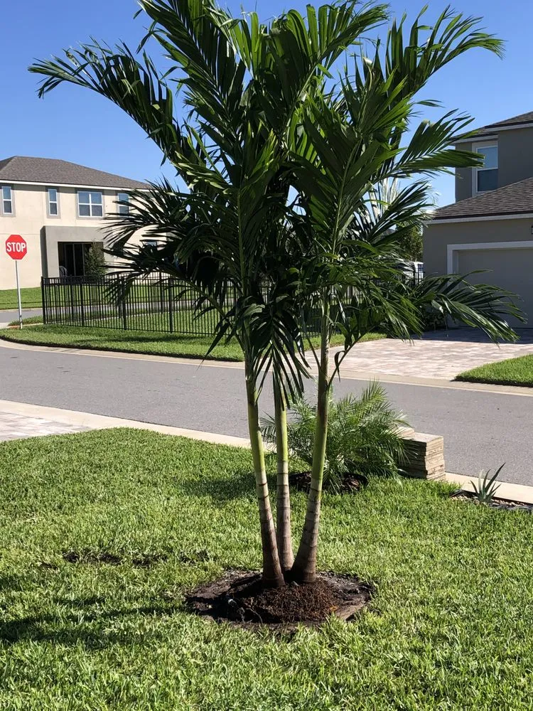 Expert outdoor landscaping experts serving Orlando, FL - A D Lawn Services