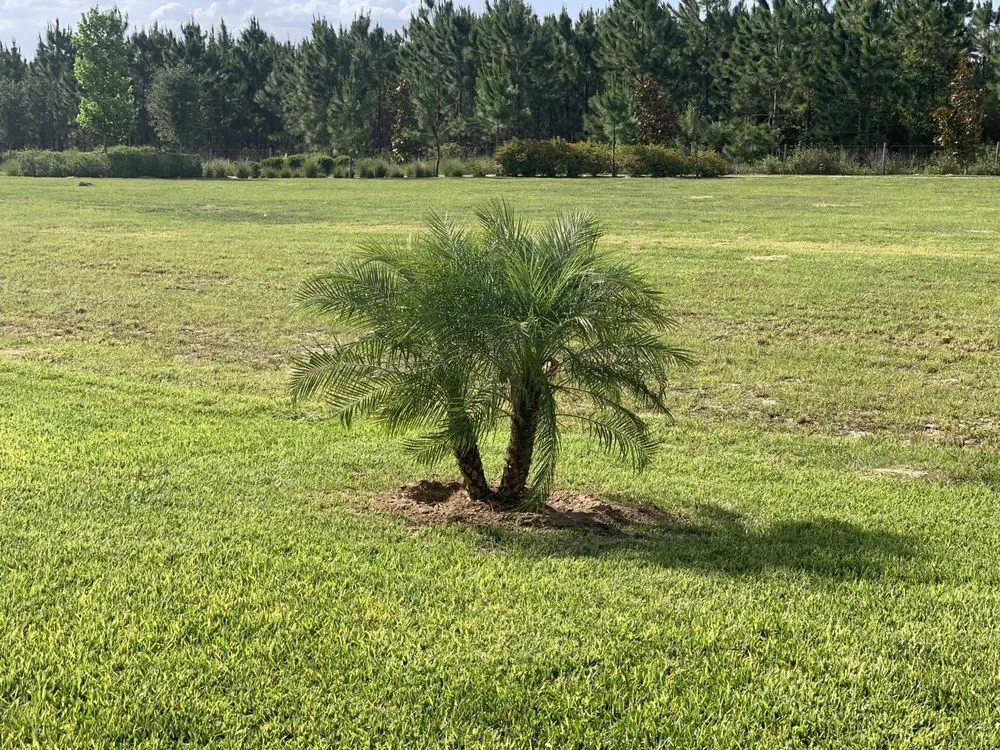 Expert outdoor landscaping in Orlando, FL by A D Lawn Services