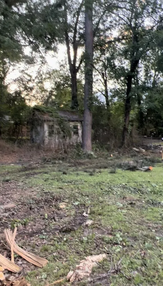 Professional landscaping services in Box Springs, GA - A D Walker Landscape And Grading