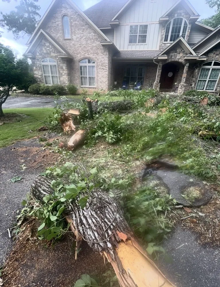 Affordable outdoor landscaping experts serving Box Springs, GA - A D Walker Landscape And Grading