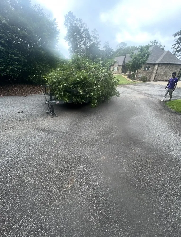 Reliable yard cleanup service in Box Springs, GA by A D Walker Landscape And Grading