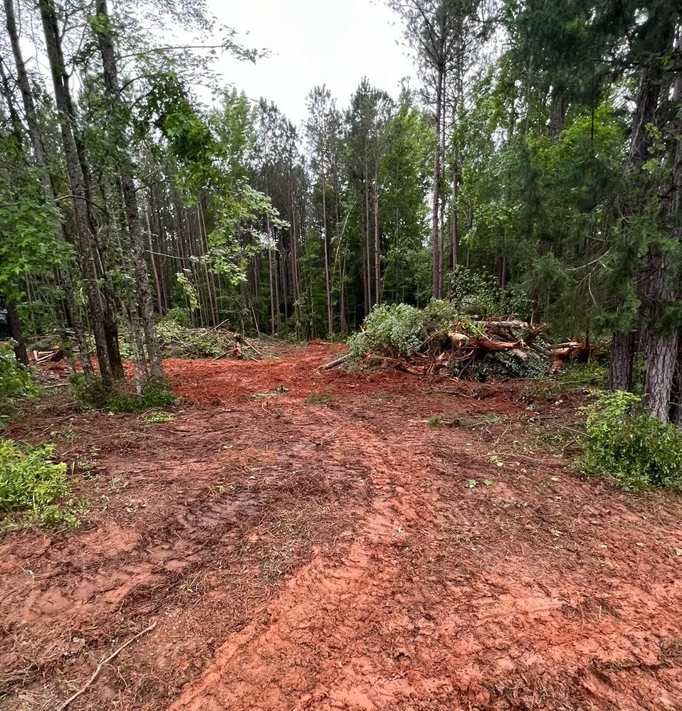 Reliable landscape installation with custom design across Box Springs, GA - A D Walker Landscape And Grading