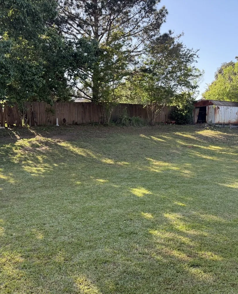 Affordable outdoor landscaping experts serving Box Springs, GA - A D Walker Landscape And Grading