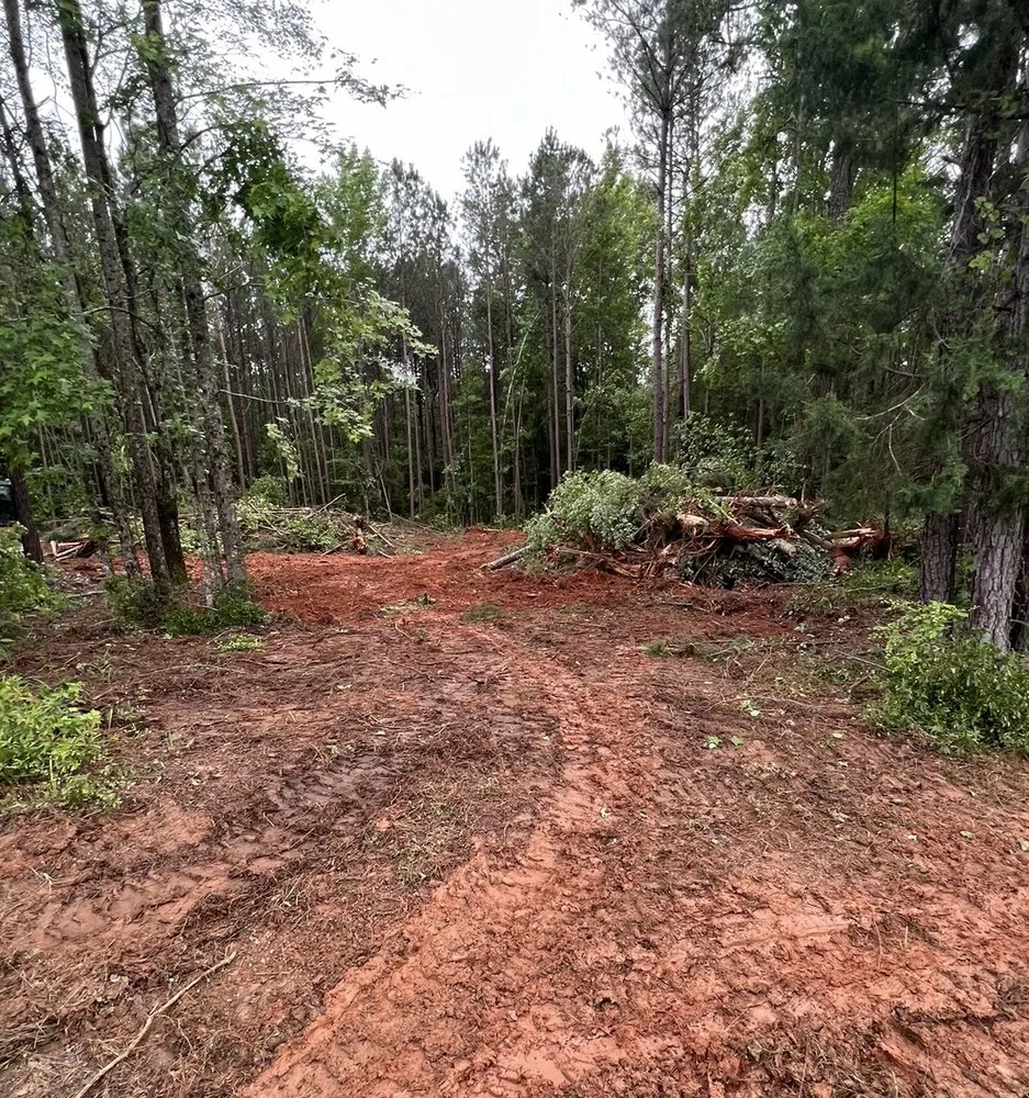 Reliable garden landscaping in Box Springs, GA - A D Walker Landscape And Grading