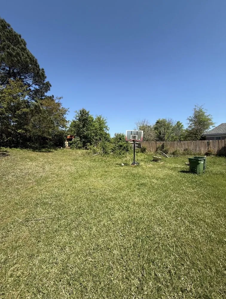 Professional yard cleanup service in Box Springs, GA - A D Walker Landscape And Grading