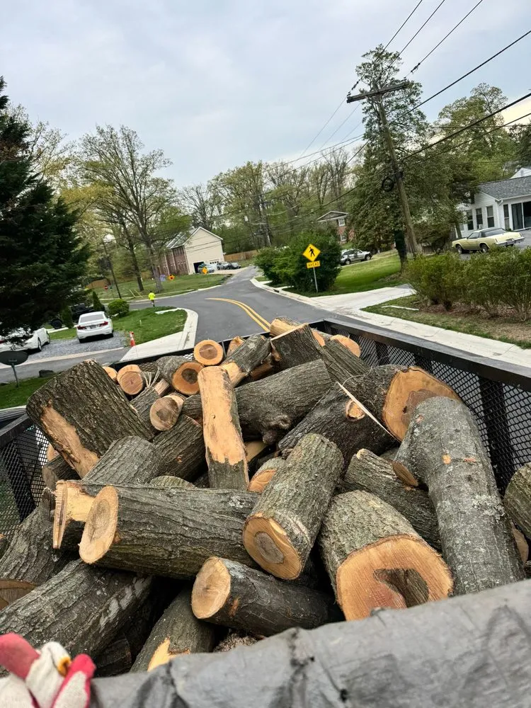 Local lawn care service experts serving Darnestown, MD - A Duarte Landscaping