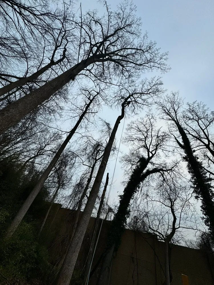 Trusted outdoor landscaping experts serving Darnestown, MD - A Duarte Landscaping