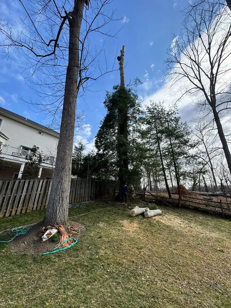 Local lawn care service in Darnestown, MD by A Duarte Landscaping