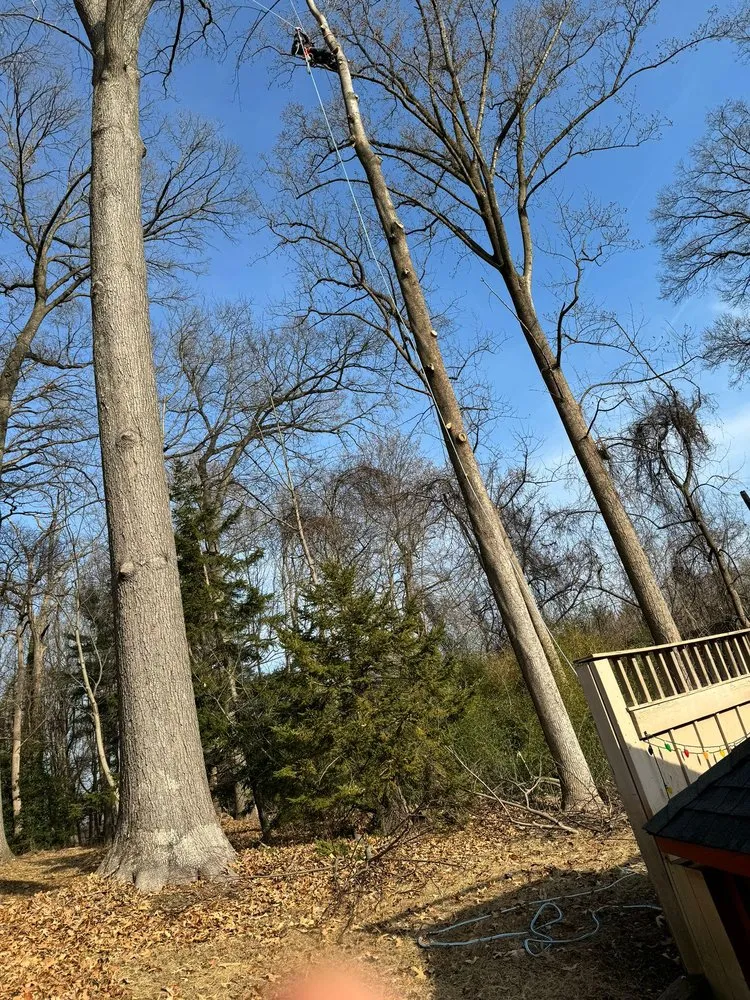 Local lawn care service for year-round maintenance across Darnestown, MD - A Duarte Landscaping