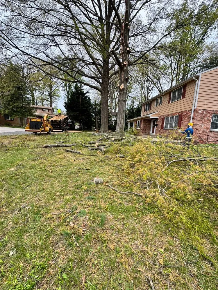 Reliable yard cleanup service in Darnestown, MD by A Duarte Landscaping