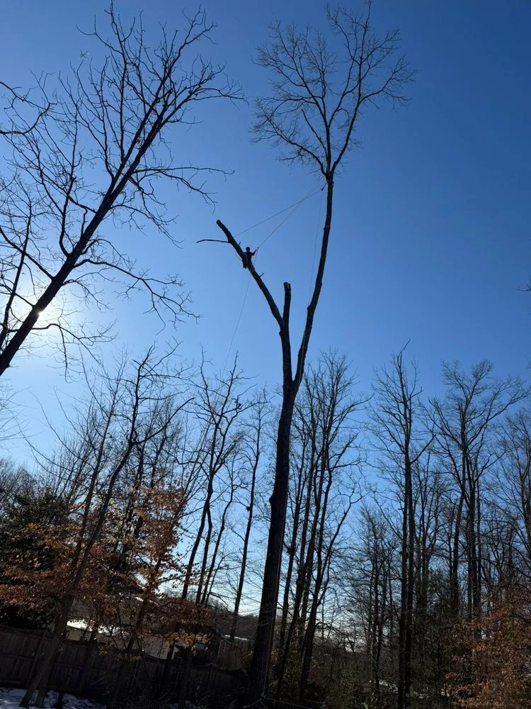 Expert yard maintenance in Darnestown, MD by A Duarte Landscaping