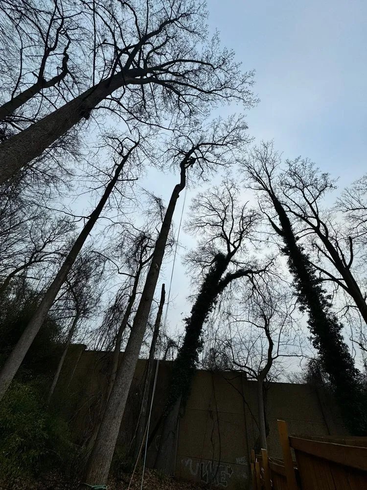 Reliable lawn mowing service experts serving Darnestown, MD - A Duarte Landscaping