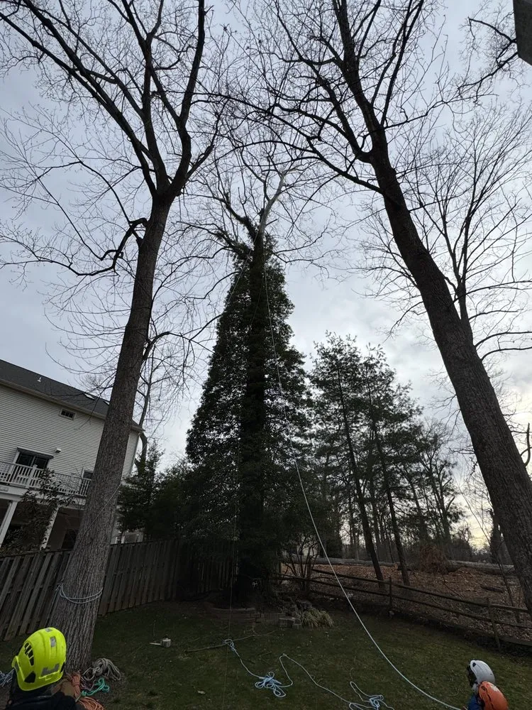 Trusted outdoor landscaping in Darnestown, MD - A Duarte Landscaping