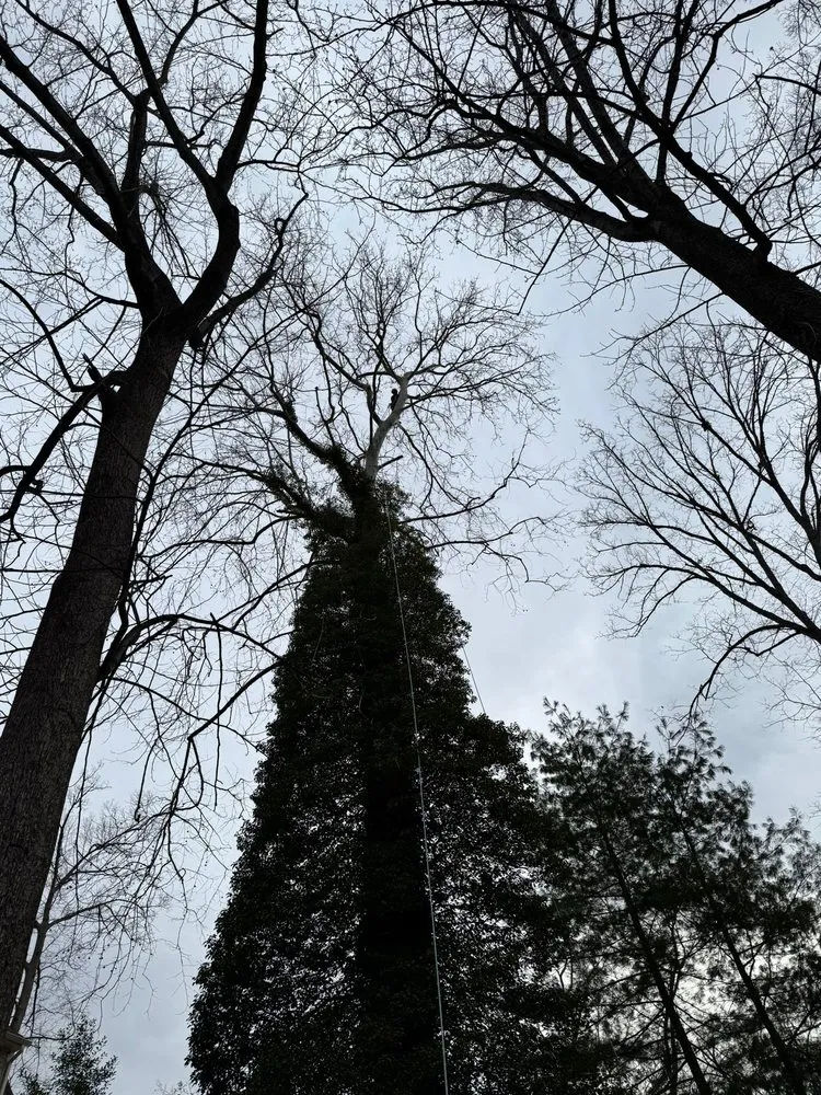 Professional lawn care service for homes in Darnestown, MD by A Duarte Landscaping