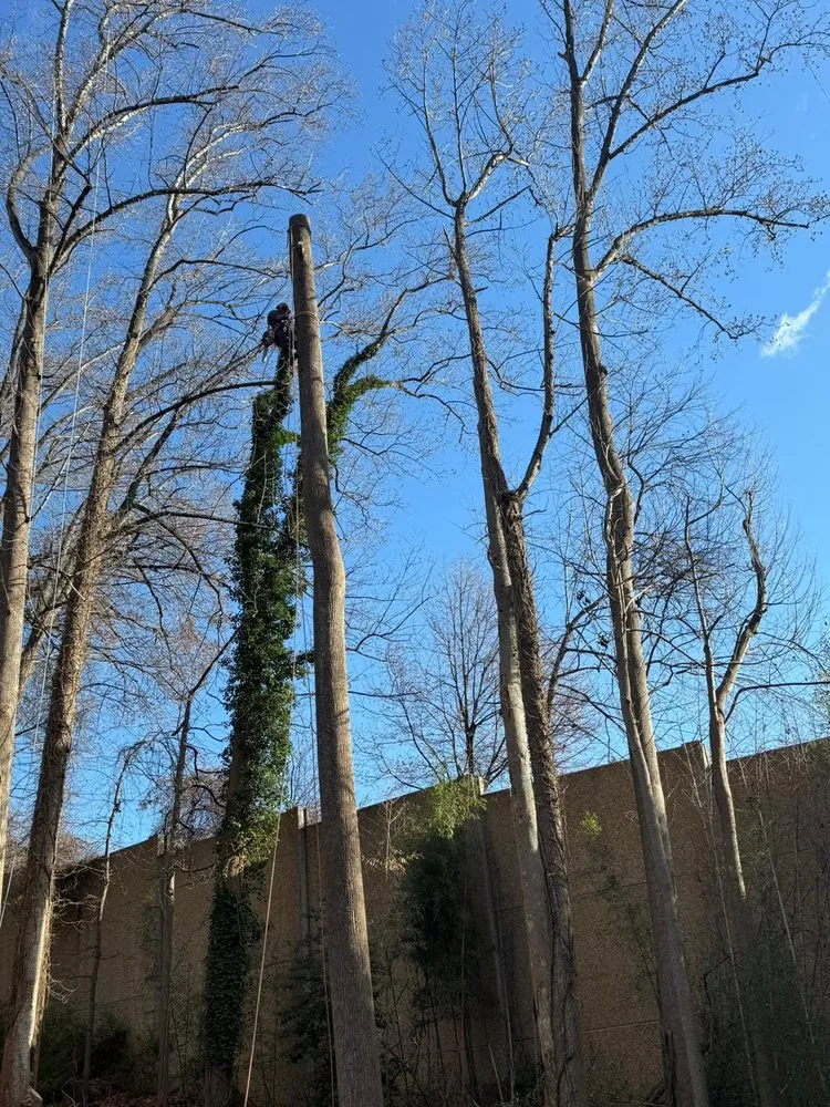 Affordable residential landscaping in Darnestown, MD by A Duarte Landscaping