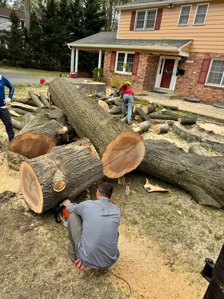 Professional landscape installation experts serving Darnestown, MD - A Duarte Landscaping