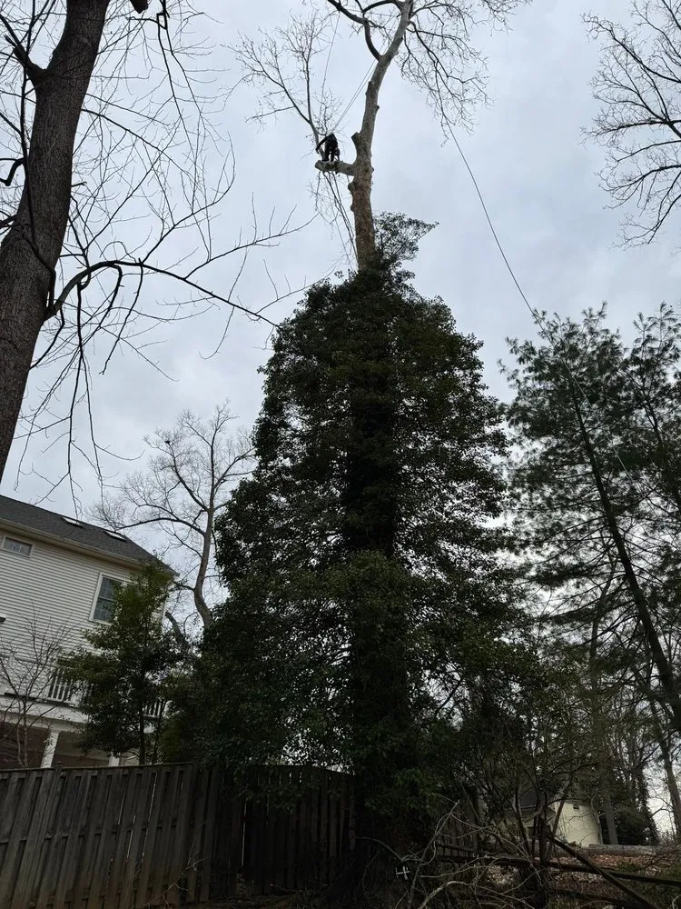 Local yard maintenance for residential properties in Darnestown, MD by A Duarte Landscaping