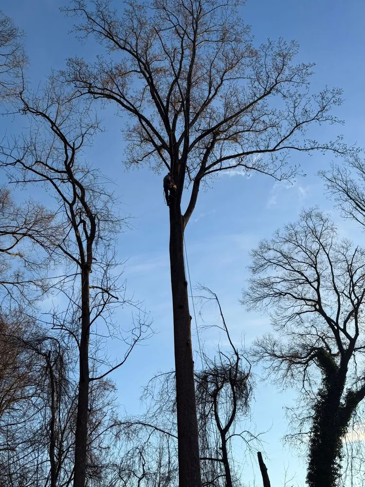 Reliable outdoor landscaping in Darnestown, MD by A Duarte Landscaping