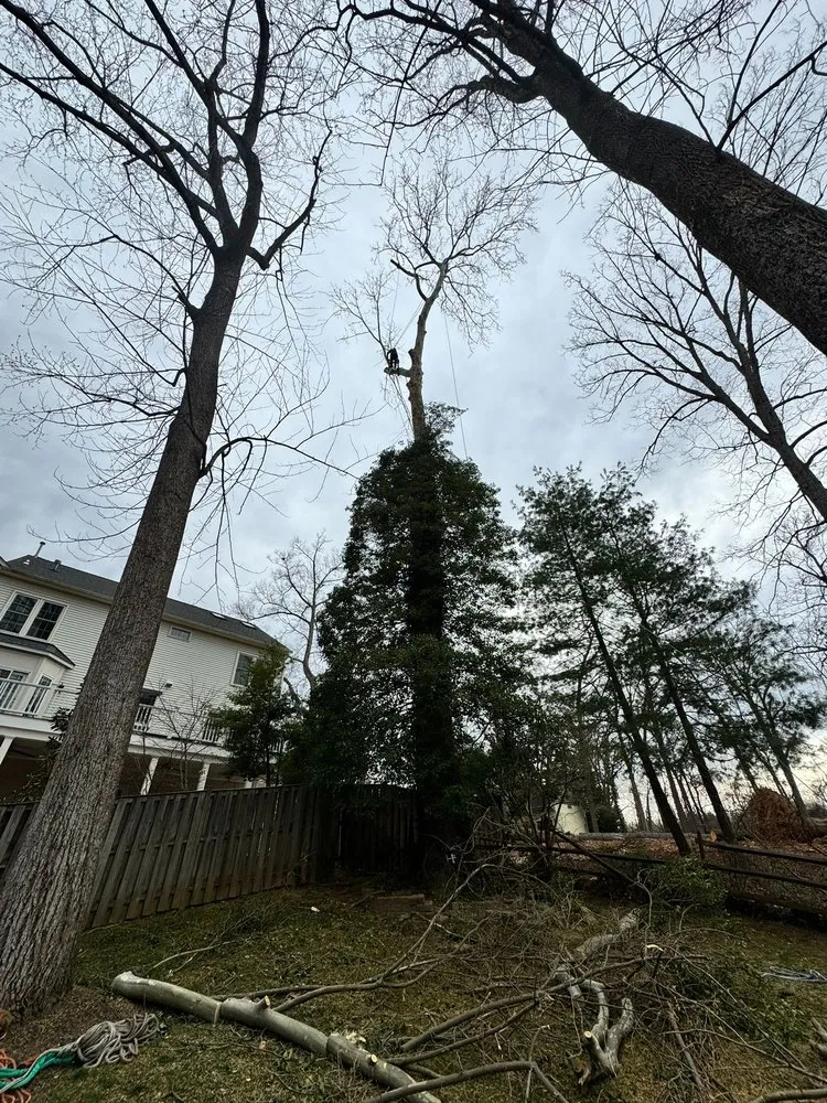 Professional landscape installation in Darnestown, MD - A Duarte Landscaping