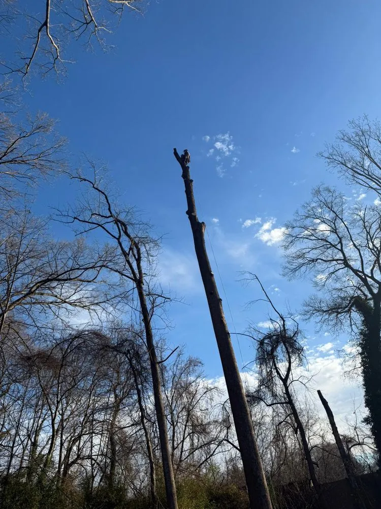 Affordable yard maintenance in Darnestown, MD by A Duarte Landscaping