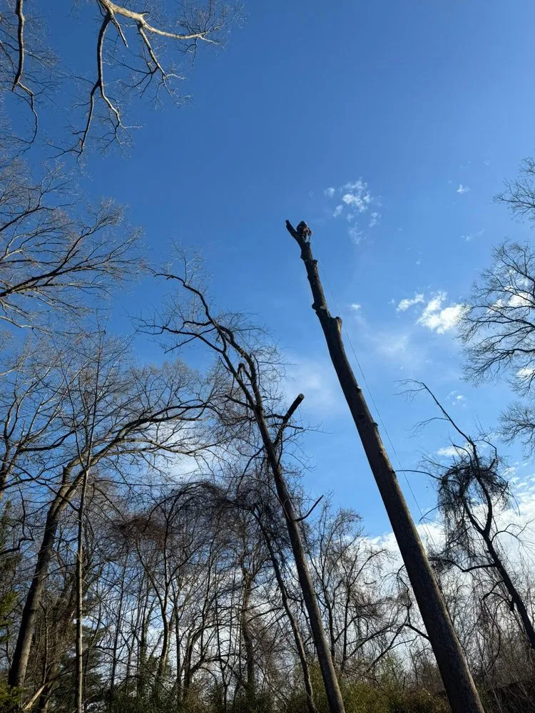 Trusted landscape installation experts serving Darnestown, MD - A Duarte Landscaping