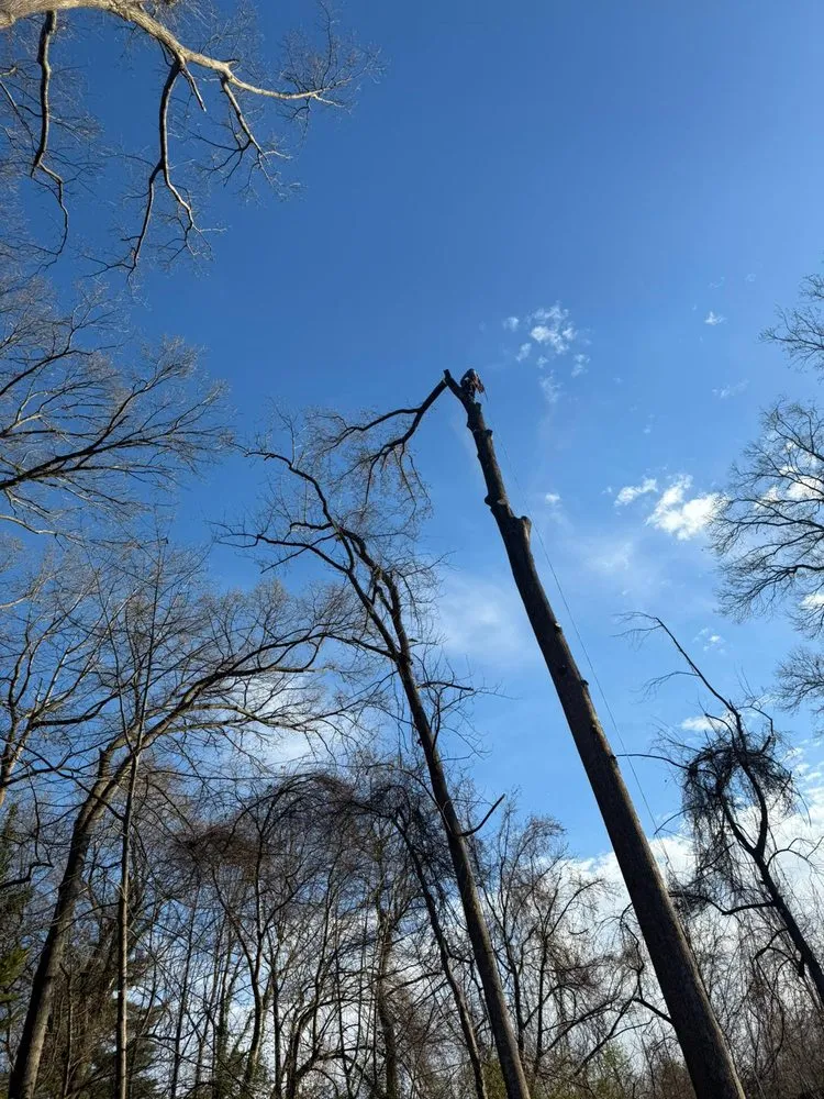 Expert garden landscaping near you in Darnestown, MD by A Duarte Landscaping