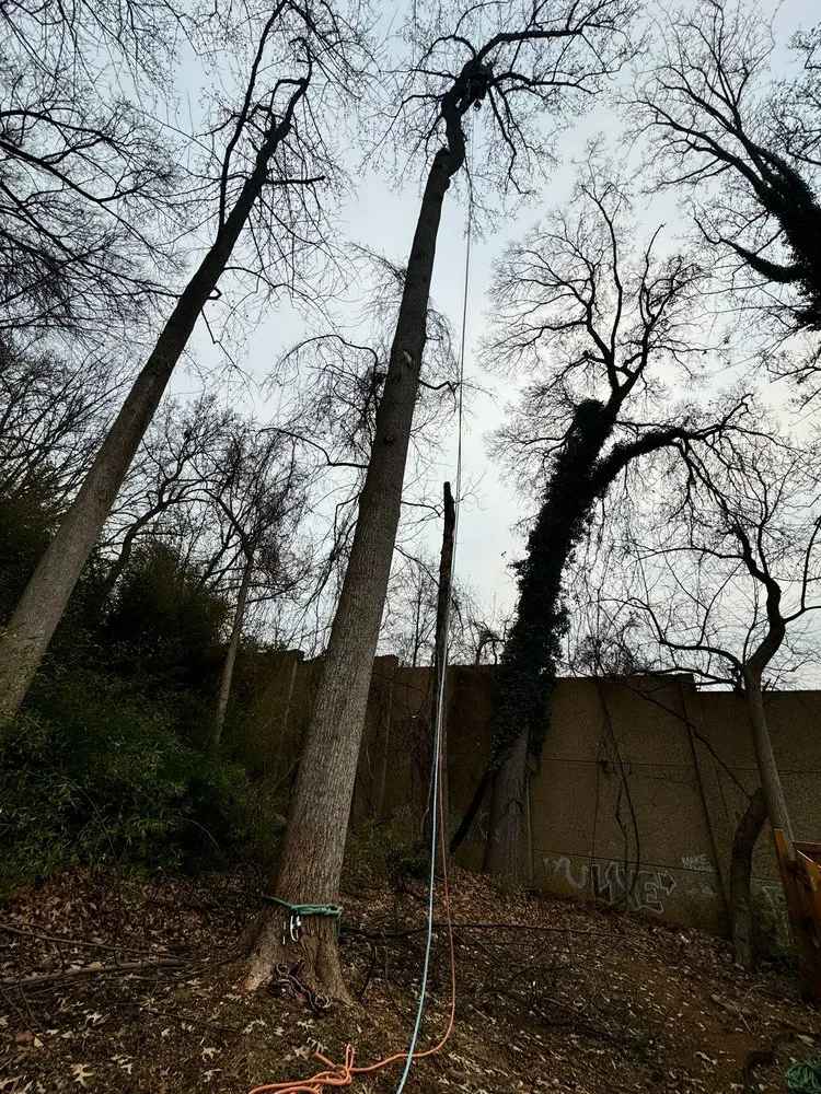 Expert yard cleanup service for homes across Darnestown, MD - A Duarte Landscaping