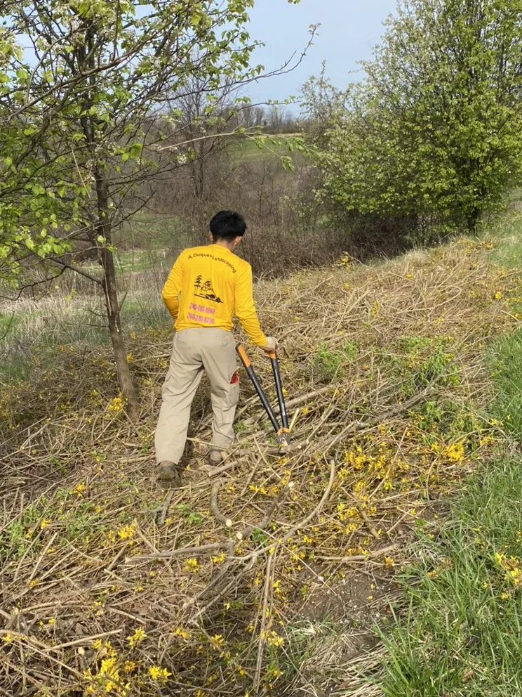 Local yard cleanup service in Germantown, MD by A Duques Landscaping