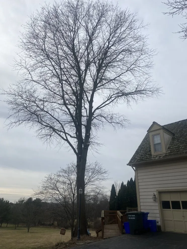 Reliable lawn mowing service in Germantown, MD by A Duques Landscaping