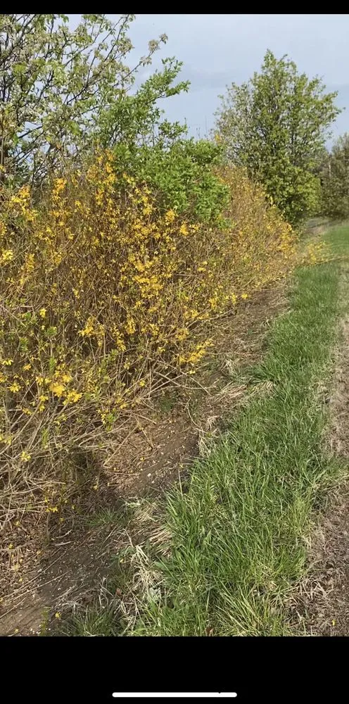 Local lawn care service in Germantown, MD - A Duques Landscaping