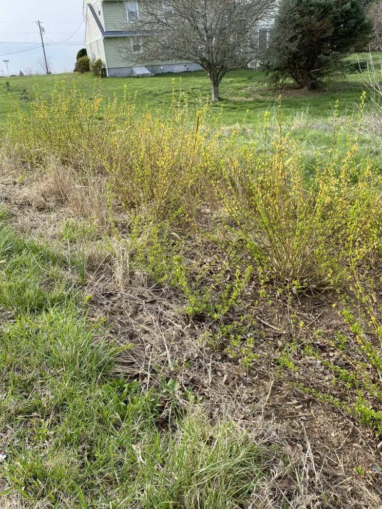 Top-rated lawn mowing service with custom design in Germantown, MD by A Duques Landscaping