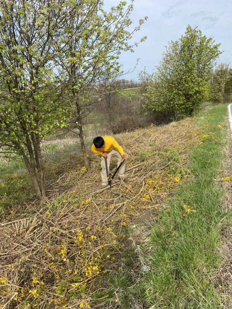 Trusted garden landscaping for residential properties in Germantown, MD by A Duques Landscaping