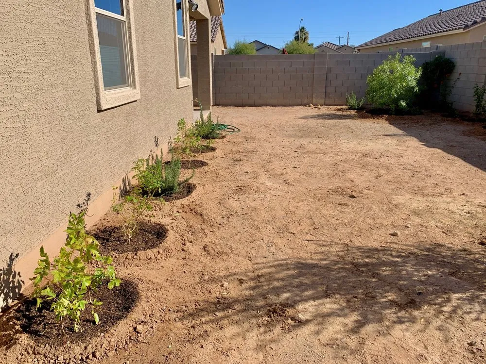 Reliable garden landscaping in Peoria, AZ - A-E Advant-Edge